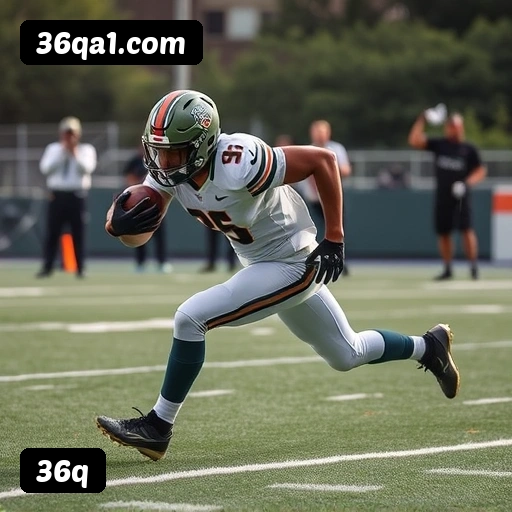 Comparação APP mobile vs versão web da 36q