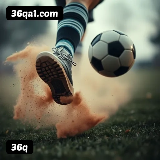 6 vantagens exclusivas do programa VIP da 36q